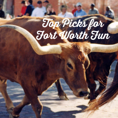 Top Picks for for Fort Worth Fun