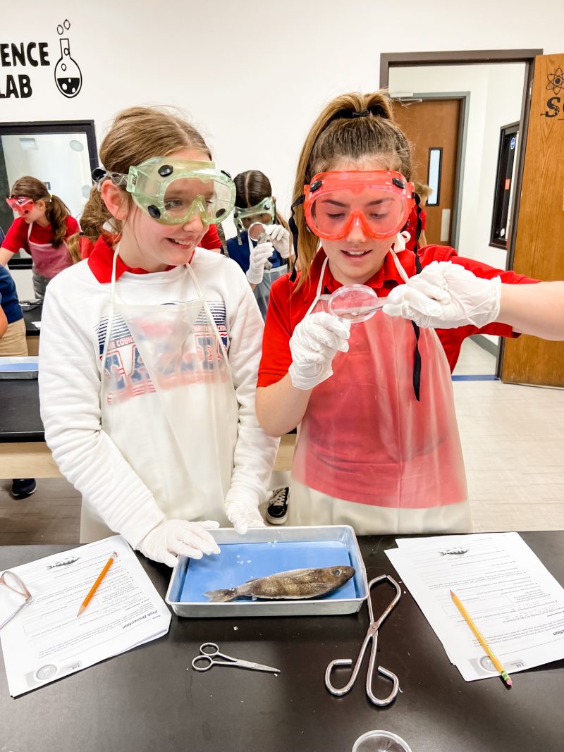 two girls in science lap disecting a fish